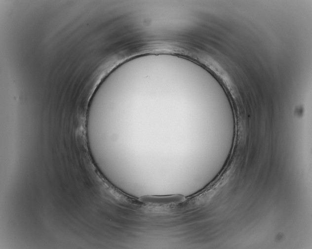 X0000099441481200805301440