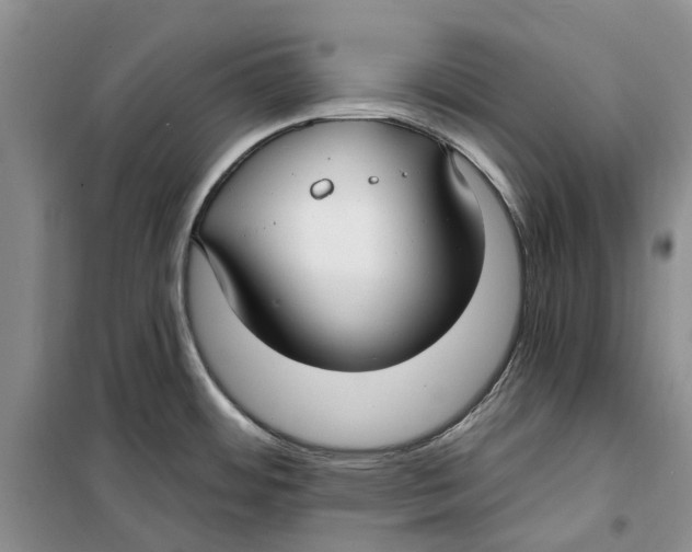 X0000099441484200805301440