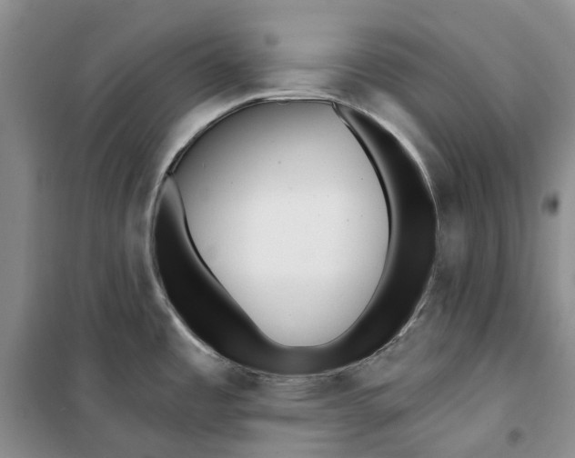 X0000099441485200805301440
