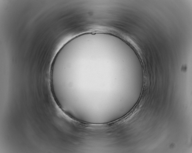 X0000099441487200805301440