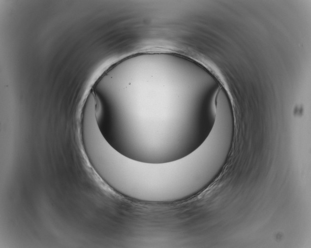 X0000099441488200805301440