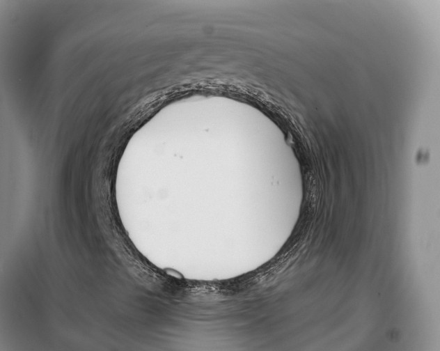 X0000099441489200805301439