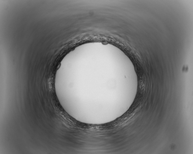 X0000099441490200805301439