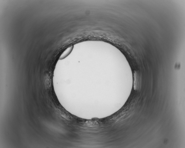 X0000099441491200805301439