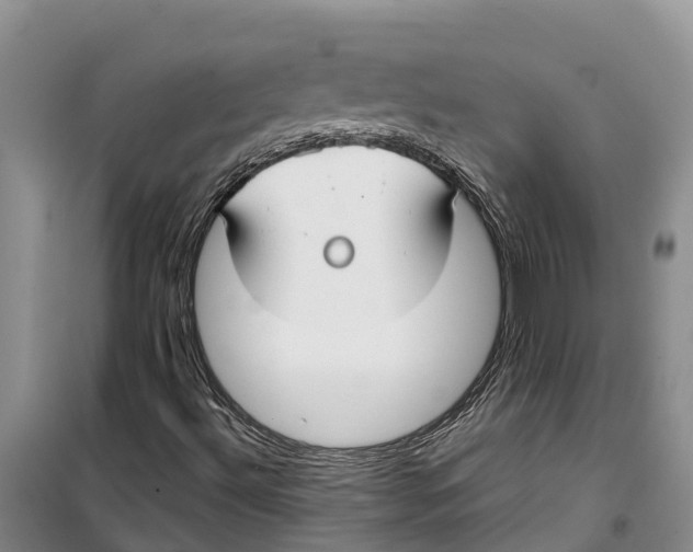 X0000099441492200805301439
