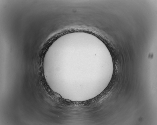 X0000099441494200805301439
