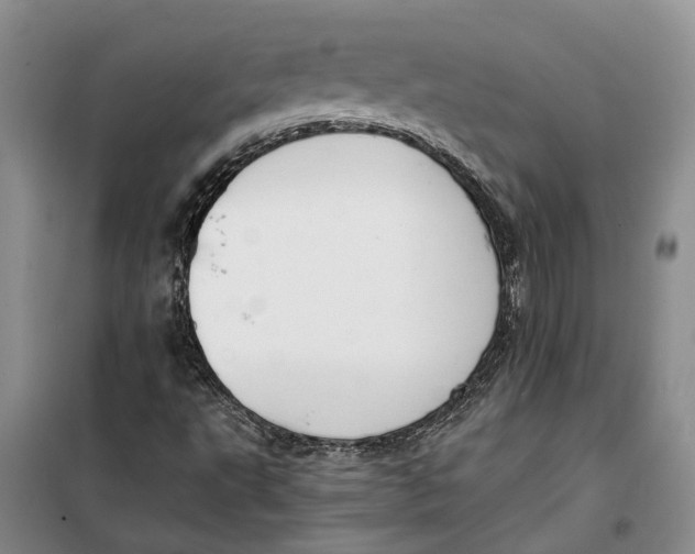X0000099441495200805301439
