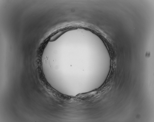 X0000099441496200805301439
