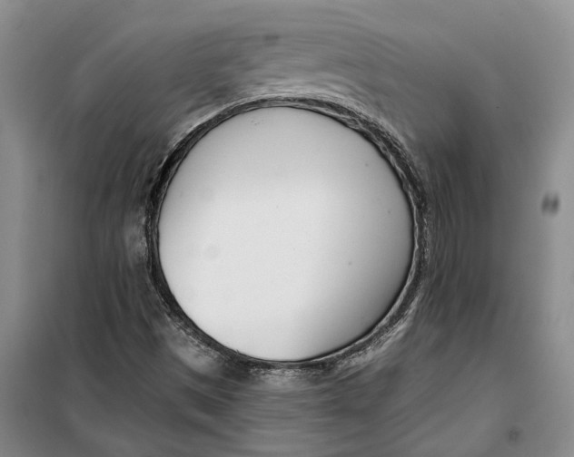 X0000099441497200805301439
