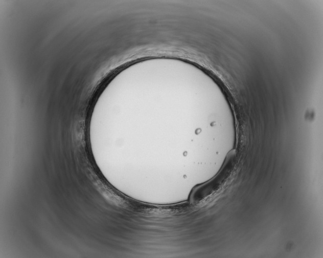 X0000099441499200805301439