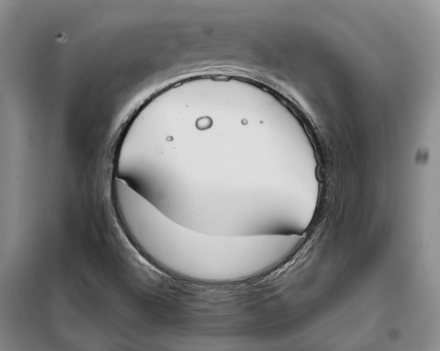 X0000099441504200805301439