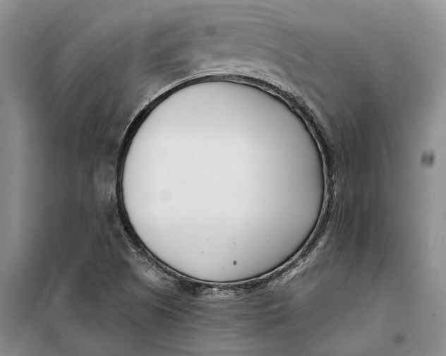X0000099441505200805301439