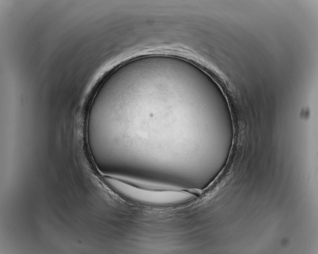 X0000099441506200805301439