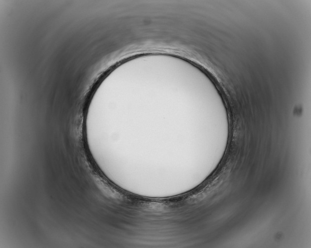 X0000099441507200805301439