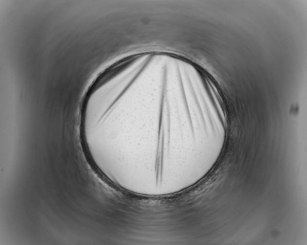 X0000099441508200805301439