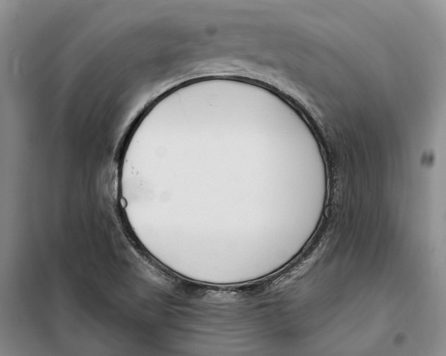 X0000099441509200805301439