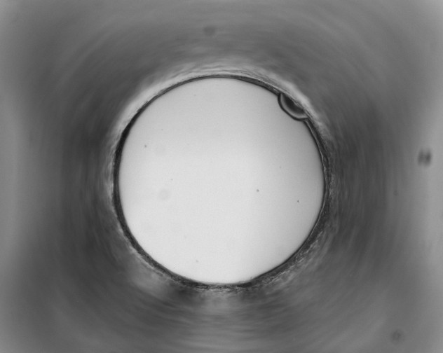 X0000099441512200805301439