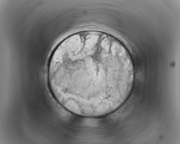 X0000099441514200805301439