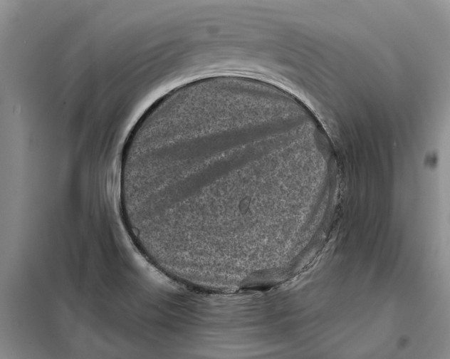 X0000099441515200805301439