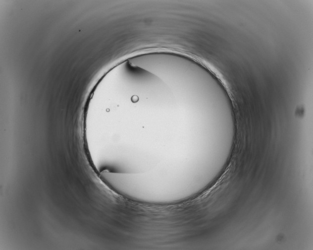 X0000099441516200805301439