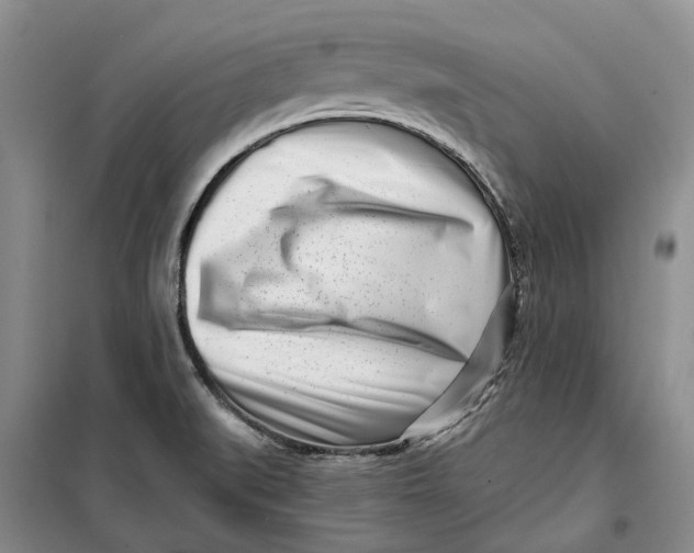X0000099441519200805301440