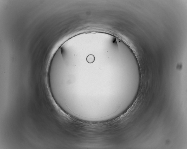 X0000099441520200805301440