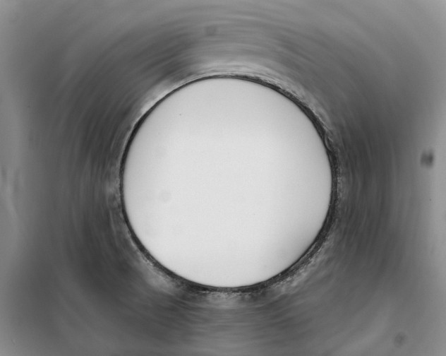 X0000099441521200805301440