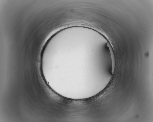 X0000099441523200805301440