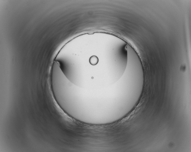 X0000099441524200805301440