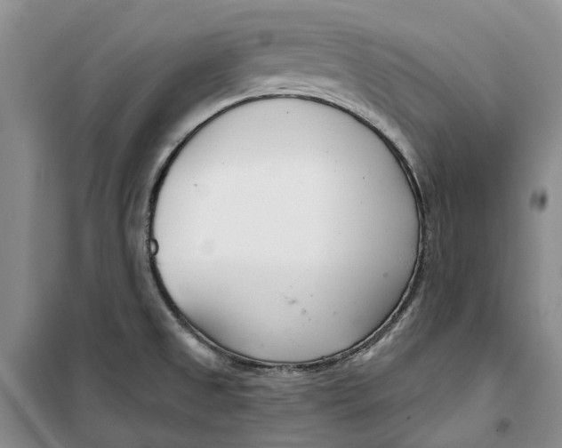 X0000099441525200805301440