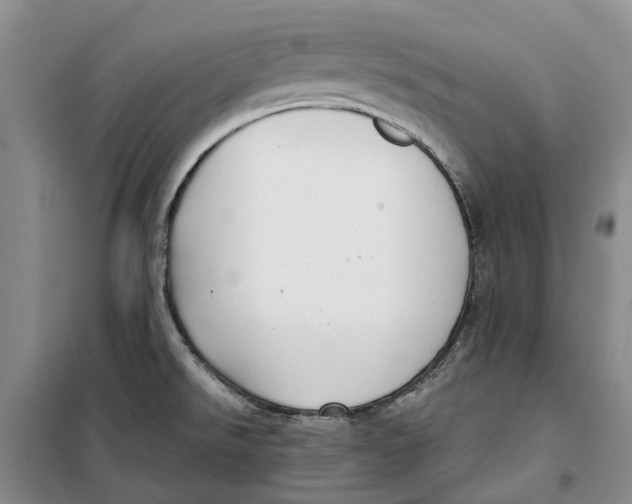 X0000099441526200805301440