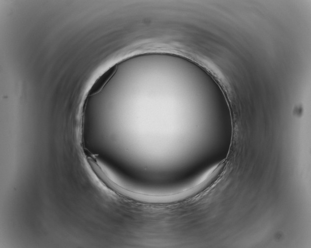 X0000099441528200805301440