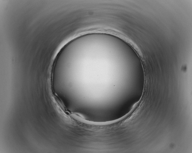 X0000099441530200805301440