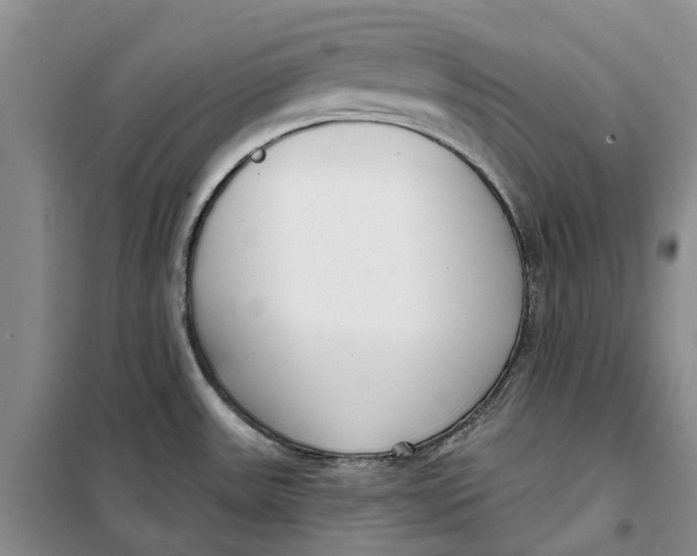X0000099441531200805301440