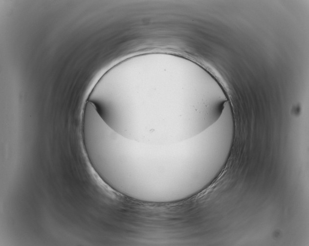 X0000099441532200805301440
