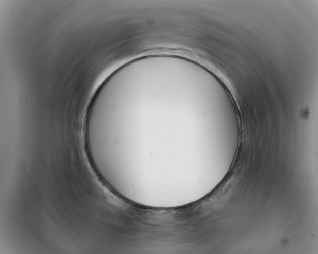 X0000099441533200805301440