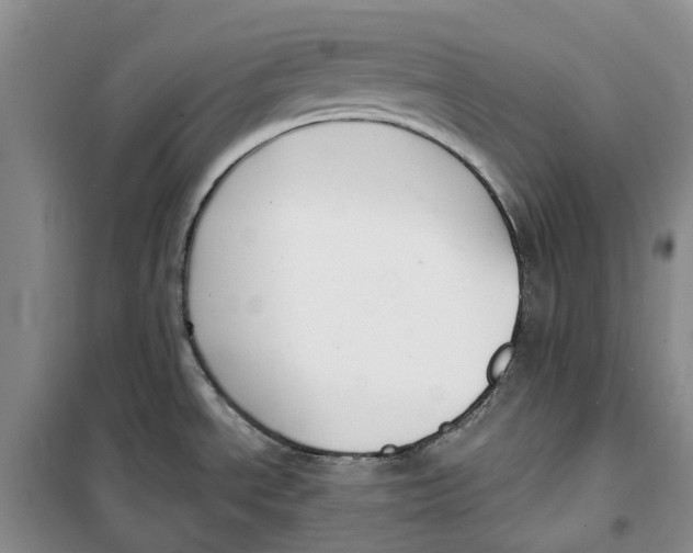 X0000099441534200805301440
