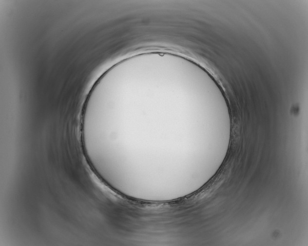 X0000099441535200805301440