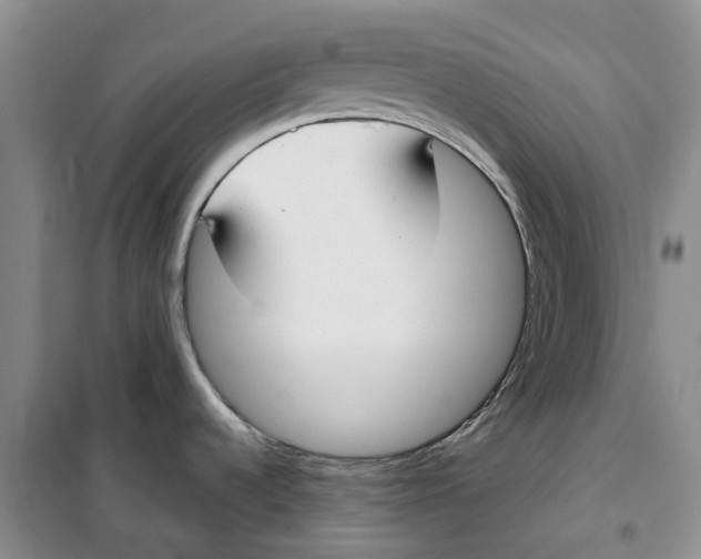 X0000099441536200805301440