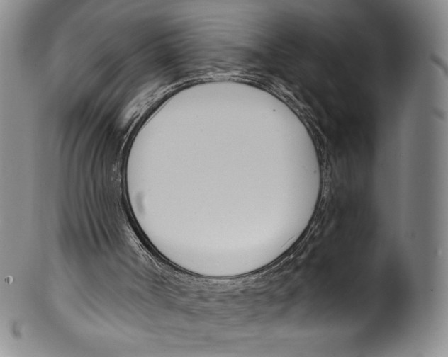 X0000099440002200806061055