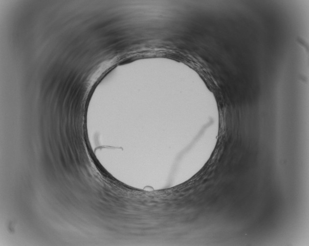 X0000099440003200806061055