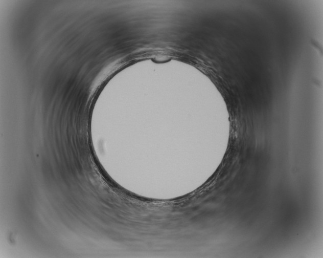 X0000099440004200806061055