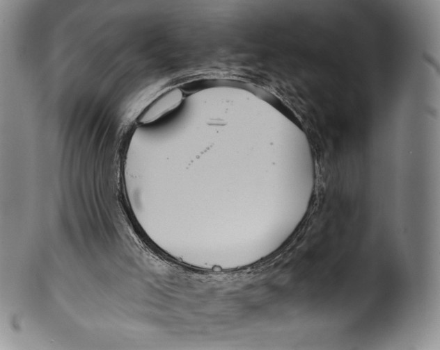 X0000099440005200806061055