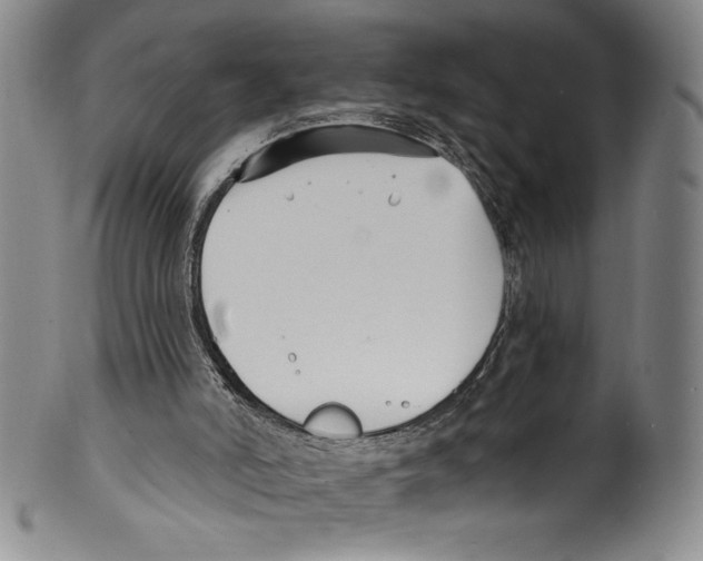 X0000099440006200806061055