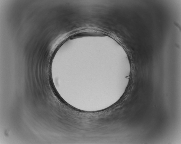 X0000099440007200806061055