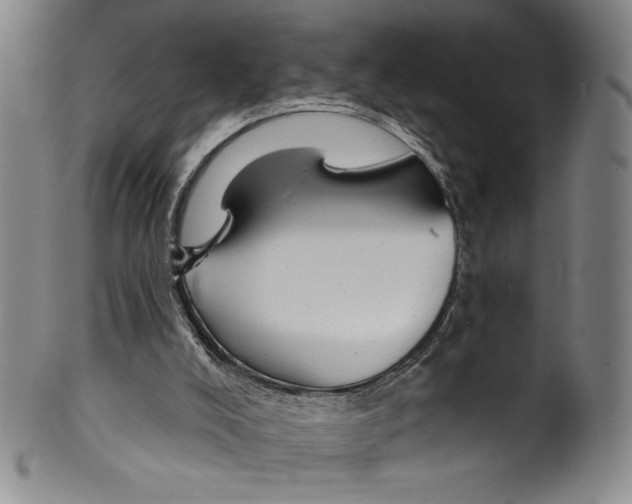 X0000099440008200806061055