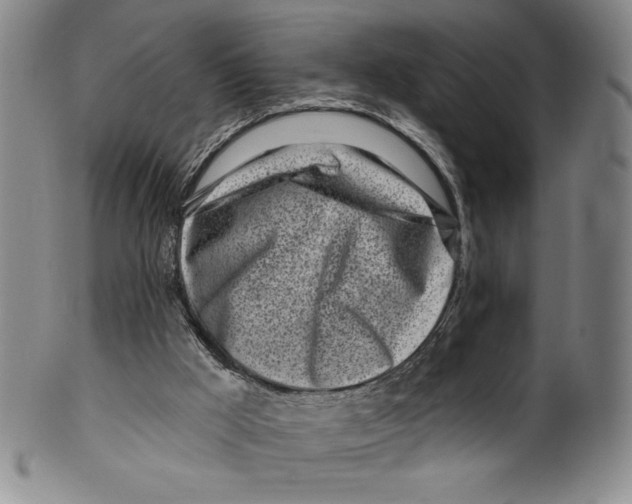 X0000099440009200806061055