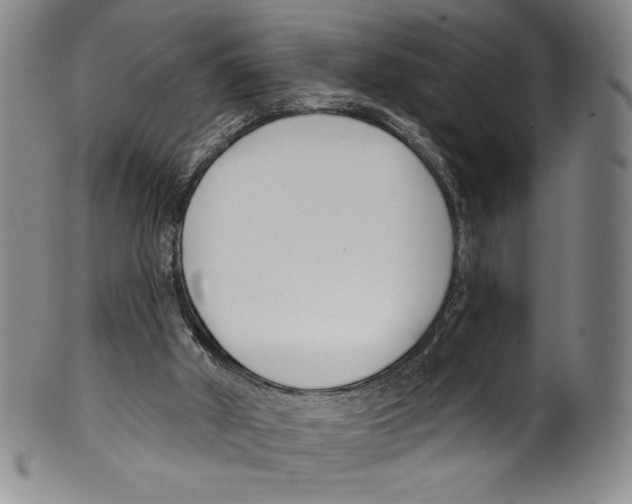 X0000099440010200806061055