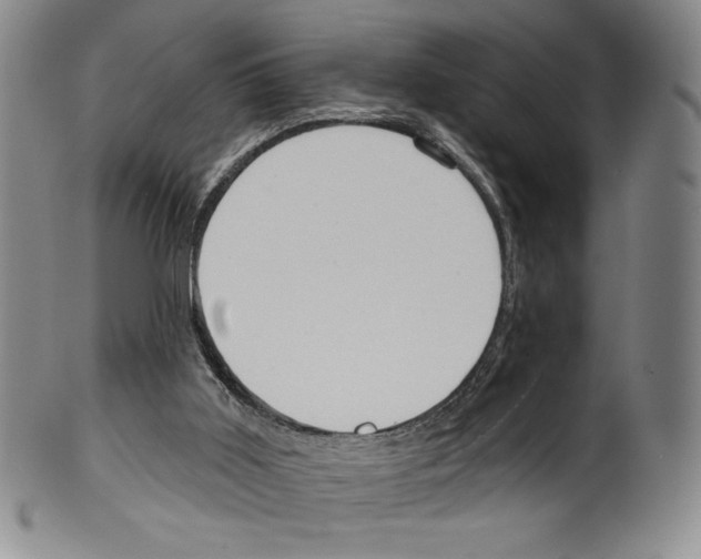 X0000099440011200806061055