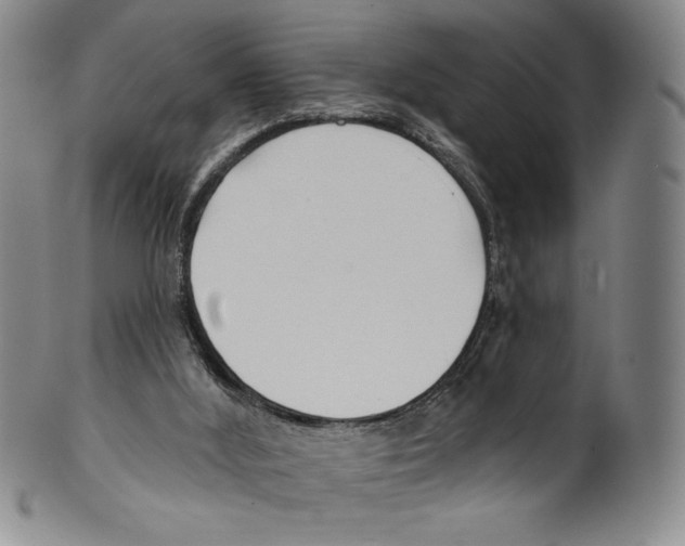 X0000099440012200806061055